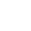 DSVarietyhub